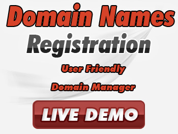 Economical domain name services